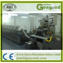 Hot Sale Softgel Encapsulation Machine (GYWJ-100II)